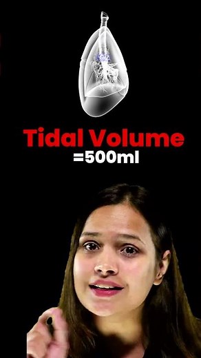 Spirometry Lung Volumes and Capacities #shorts #spirometer #respiratorysystem #lungfunction