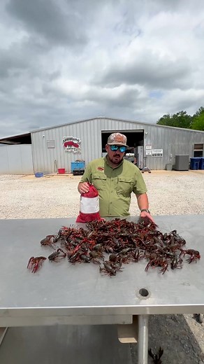 🦞 Not too late to get a last minute Memorial Day Weekend order in! This has been a record week, looking forward to seeing all your boil pics! You can use this as a guide if you’re ever trying to decide how much crawfish to order! #crawfish #louisiana #cajun #seafood