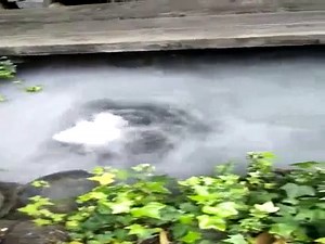 3500-5000ML/H 10 Head Ultrasonic Mist Maker Fogger Humidifier Hydroponics with Waterproof Power 110V