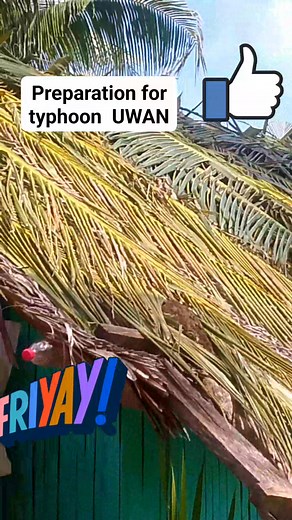 Preparation for typhoon UWAN #safetytips #safetylife | Liza Huit