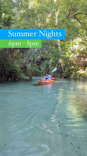 Our Summer Nights Kayak Adventure is perfect for those looking to explore the run during the most peaceful time of day! After all of our Day Paddlers are off the water, we embark on a sunset paddle through the Emerald Cut. The lack of crowds provides an opportunity for more wildlife, and a more personable experience on the water. Available daily from 6:00pm - 8:00pm More info can be found on our website 🤙 #kingslandingfl #summernights #floridasummer #ecotours #emeraldcut #rockspringsrun #florid