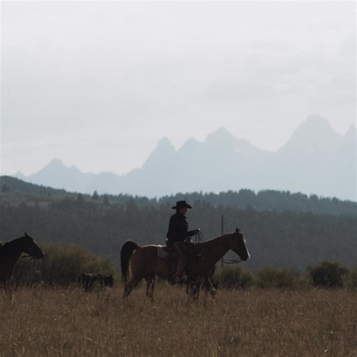 Harness the spirit of the west | Durango Boot