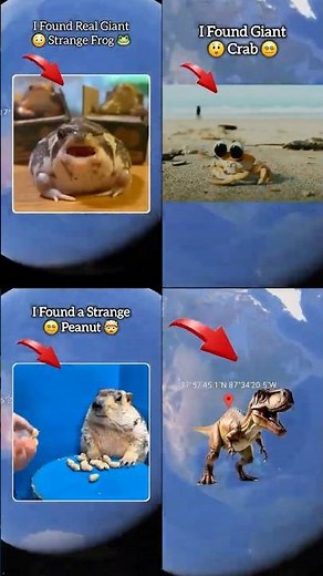 TOP 4 Funny Things on Google Earth #funnythings #googleearth #googlemaps