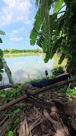 Câu Cá Tại Vĩnh Long: Trải Nghiệm Miền Tây