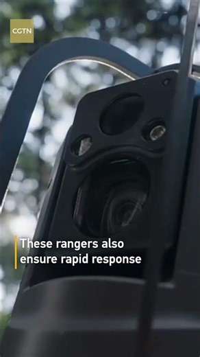 Robot dog becomes forest ranger