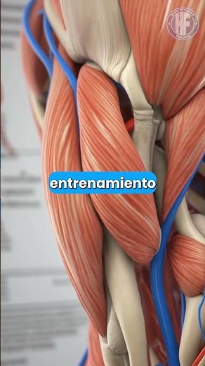 💪🛡️ HMB: The supplement that STOPS muscle loss 🔥