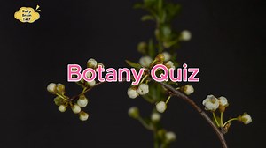 3.6K views · 90 reactions | Try answer this short quiz to challenge your knowledge of plants. #botany #plants #test #learning #knowledge #schools | Daily Brain Quiz | Facebook