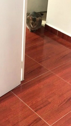 Videos de Aleja🤪🤩 (@aleja__1209) con “sonido original - Aleja🤪🤩”