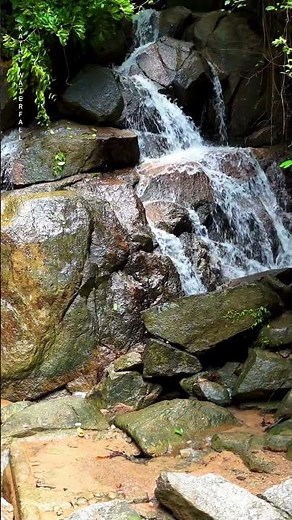 KATHU WATERFALL | PHUKET #kathuwaterfall