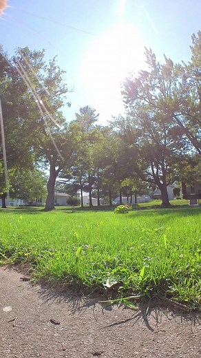 Creeper Cats💀 #fyp @insta360_official Go 3