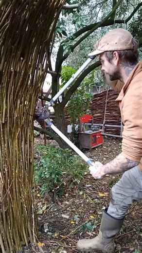 I've been working on this continuous woven fence and archway over the past week or two and I love the way it's turned out. . We planted a few hundred daffodil bulbs in front of it too, so it will look even more beautiful in Spring. . Whilst harvesting the willow rods, I also made around 500 cuttings of my favourite hybrid variety, which this project is made from exclusively. Sadly I don't know its name, perhaps it looks familiar to some of you? . . . #willowweaving #willowcoppice #willow #woven 