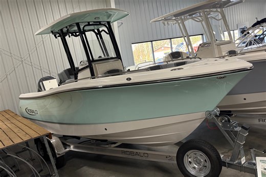 New 2025 Robalo R232 Explorer, 28673 SHERRILLS FORD - Boat Trader