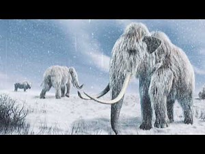 Woolly Mammoth: The Incredible Ice Age Beast Explained