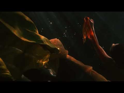 Kasbo - 'Alive (1tbsp Remix)' (Official Audio)