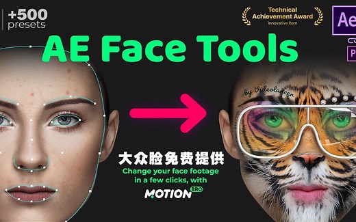 AE脚本-人脸面部追踪贴图表情化妆美颜丑化换脸锁定变形特效预设工具 AE Face Tools V2