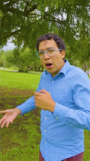 Visit the Chinampas in Mexico City to see the ancient farming technique used by the Aztecs