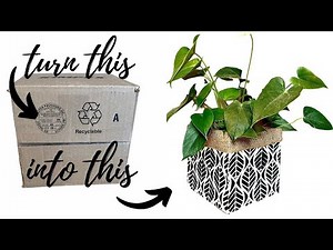 Make A Cute Planter Out Of An Old Cardboard Box!