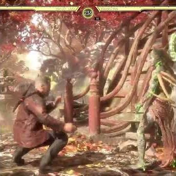 THE TERMINATOR VS CETRION