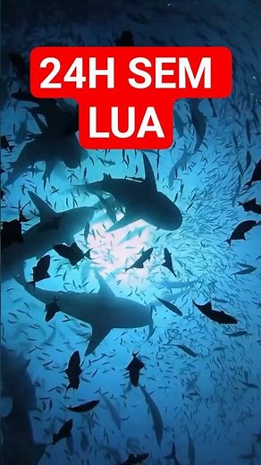 O que aconteceria se a Lua sumisse por 24 horas?