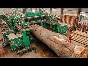 Inside the Largest Wood Sawmill Factory – How Plywood Is Made From Logs to Table (Full Process)