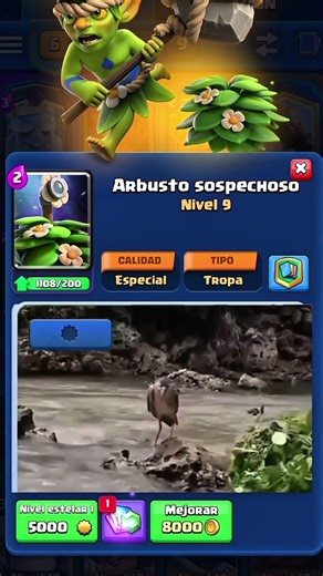 Larry 🥶#banku #shorts