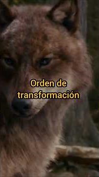 The order of transformation of the wolves #twilight #twilight