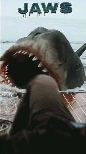 Attacked By Jaws (1975) Where The Fear Of Sharks All Began