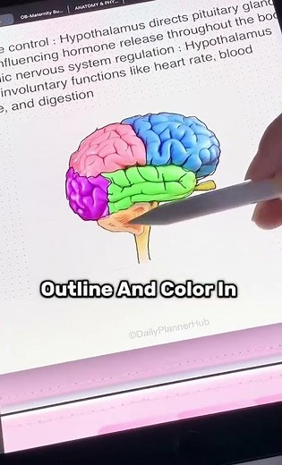 iPad Draw & Label or Outline Diagrams on Notability | Study Hack for Nursing & Med Students