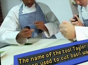 Fetch! with Ruff Ruffman Fetch with Ruff Ruffman E015