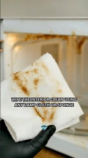 The Fastest Way I’ve Found to Clean the Microwave