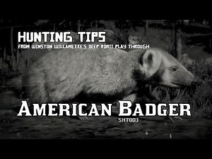 American Badger - Hunting Tips [RDRII]