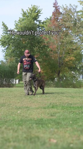 Everyone wanna comment dumb things online but no one wanna come out and take bites 🥲🥲 so here’s baby Havoc, he welcomes anyone & everyone to come give him an arm 💪 #workingdog #dutchshepherd #dogtraining #protectiondog #dutchshepherds #psak9 #bitework #obedience | RECON K9 LLC
