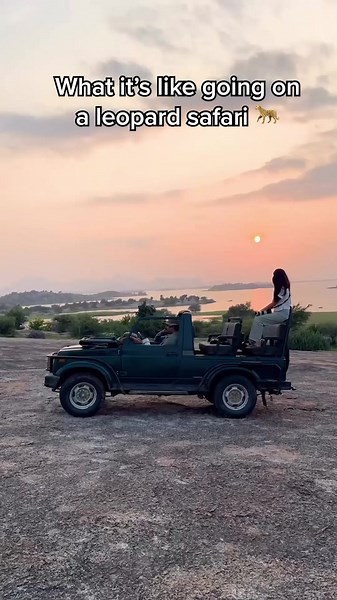 What it's Like Going on a Leopard Safari