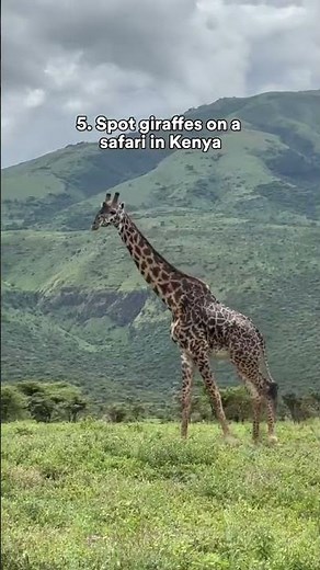 10 bucket list experiences to add to your list ✍️#bucketlist #travelbucketlist #traveltheworld