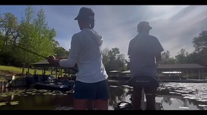 How to catch bass on a frog - Bassmaster