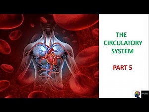 Circulatory System - ICSE Class 10th Biology(Part-5)