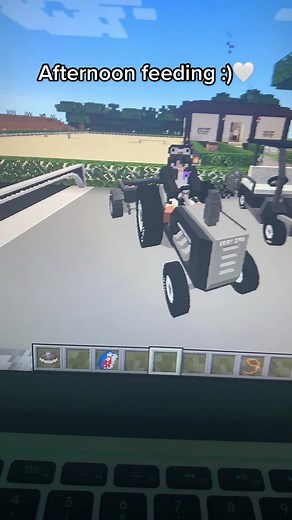 Discover the Love for SWEM in Minecraft!