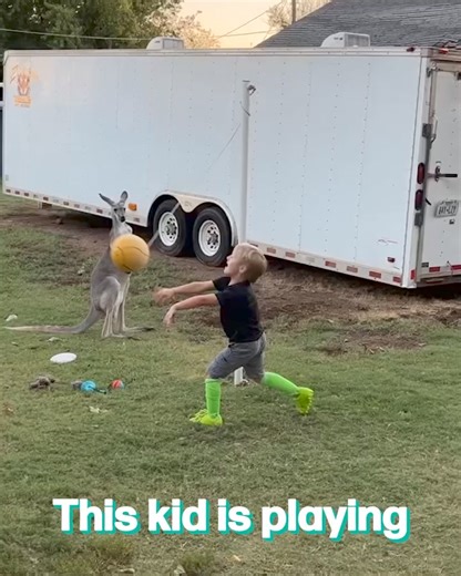 Playing tetherball with kangaroo 🦘 | Furry Tails
