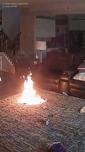 512K views · 1.7K reactions | Dog chews on lithium battery, starting house fire in North Carolina — https://www.wdtv.com/2025/10/15/dog-chews-lithium-battery-starting-house-fire/ | WDTV 5 News | Facebook