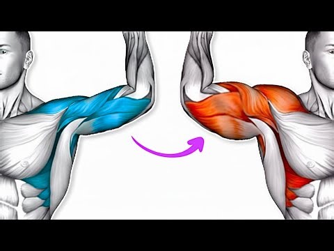 Arms Workout for Beginners - 10 Min (No Equipment)