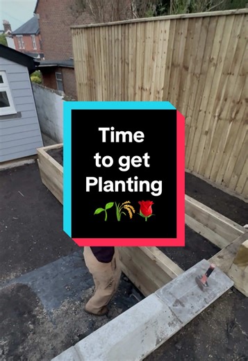 The Digging Gardener (@the.digging.gardener)’s videos with original sound - The Digging Gardener