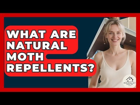 What Are Natural Moth Repellents? - Minimalist Home Life
