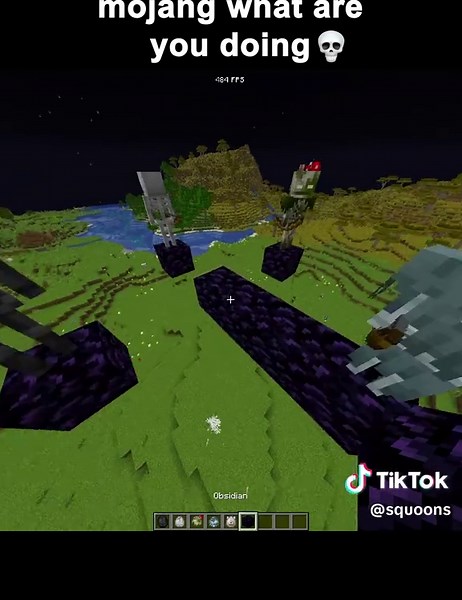 Epic Minecraft Wither Skeleton Moments