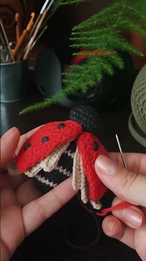 Crochet Ladybug brooch - pattern available!