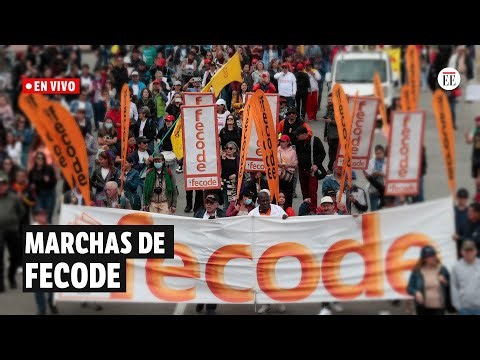 En vivo | Protestas de Fecode contra la ley estatutaria de educación | El Espectador