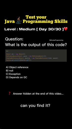 Day 30 | Java to break into FAANG (copy me) #coding #shorts