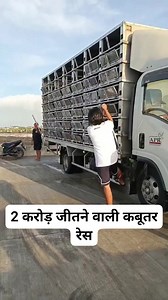 93K views · 254 reactions | 2 करोड़ जीतने वाली कबूतर रेस #short #reelsfbシ #facts | Damini Facts | Facebook