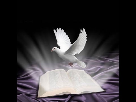 LIVE: Pastor : Ilie SATMAREAN "INCA UN AN DE INDURARE" Moderator: Florin PETER