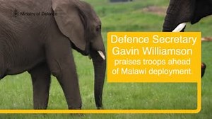 8.6K views · 39 reactions | Defence Secretary, Gavin Williamson praises British Army personnel heading to Malawi to work with park rangers to tackle the illegal wildlife trade. #Stopwildlifecrime #IvoryBan #IWT | Ministry of Defence | Facebook
