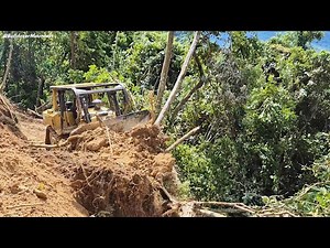 Bulldozer D6R XL Clearing Forest for New Plantation Road | Powerful Land Clearing
